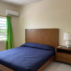 Apartment Poinciana, Woods